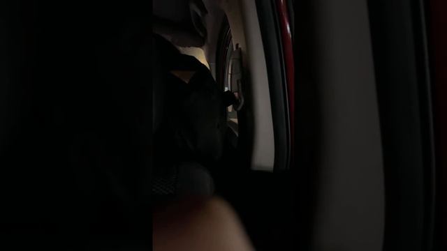 Aunty Donna Touching Lobster ! смотреть онлайн
