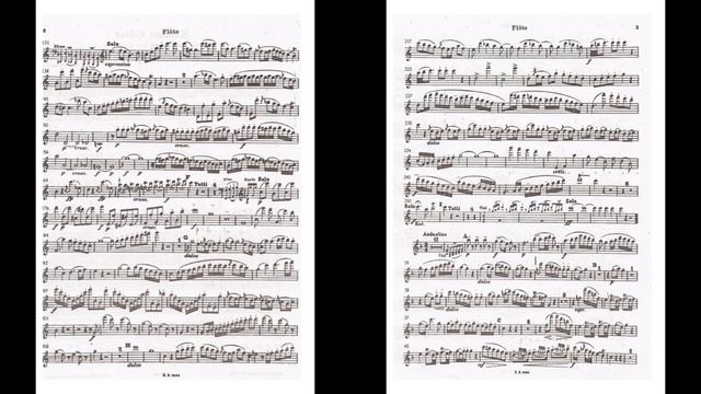 Flute and Harp Concerto in C Major - I Allegro, Orchestral Accompaniment смотреть онлайн