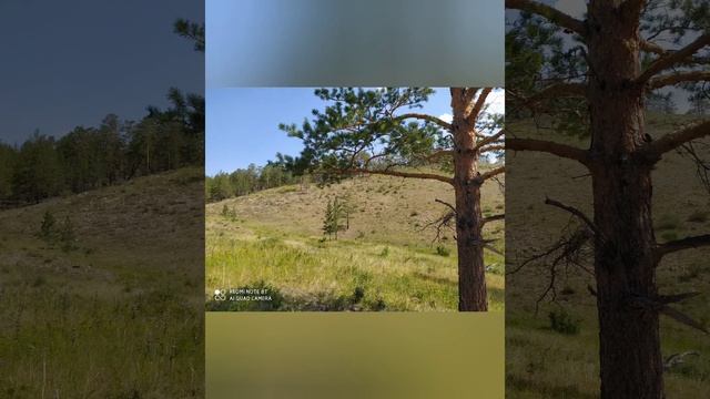 Нина Артугаева "Эжымни уреэлнууд" смотреть онлайн