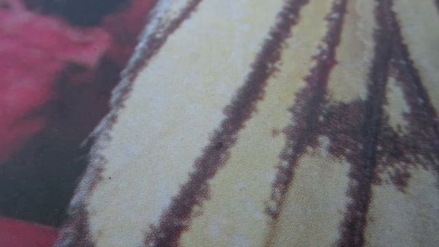 Как сшить юбку с фалдами от линии талии.How to sew a skirt with folds from the waist line. смотреть онлайн
