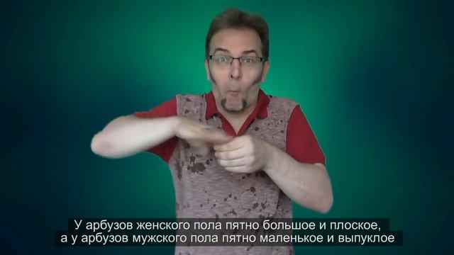 Как правильно выбрать арбуз. 3 августа - день красного арбуза. смотреть онлайн