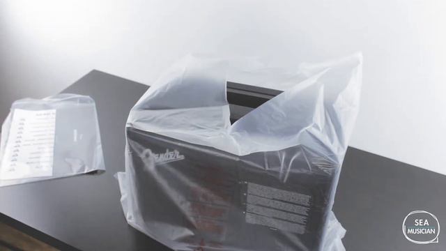 Fender Mustang GT40 - UNBOXING смотреть онлайн