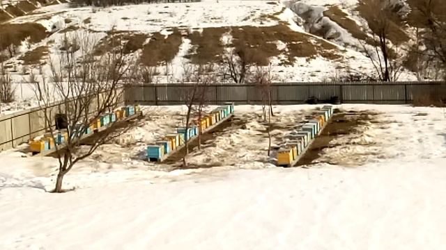 Предварительный итог зимовки смотреть онлайн