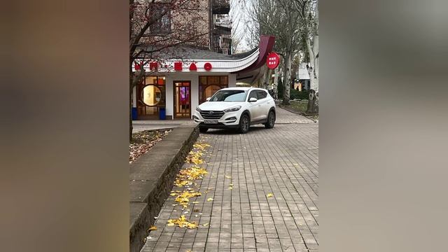 Донецк сегодня 03.11 2023 Диета отменяется! Филе по 500 рублей! Бродячие собаки нападают на прохожи смотреть онлайн