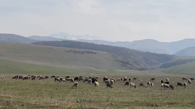 Как прекрасен этот мир, посмотри- говорю себе я постоянно смотреть онлайн