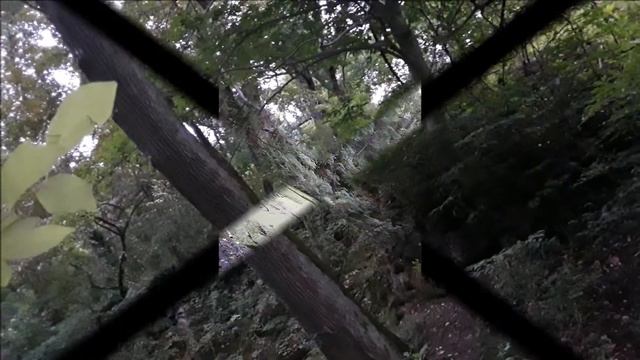 Первозданная природа Америки. Пенсильвания, США. Video By Sam Zilman (USA)