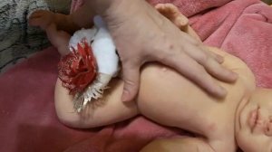 Силиконовая кукла реборн  .mp4