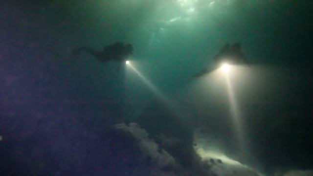 Бессмертие для человека, Исследования ученых смотреть онлайн