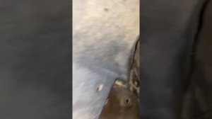 Форд фокус 2  лечим вибрацию под нагрузкой ШАЙБЫ проставки ДАЛЬШЕ БЕЗ ВИБРАЦИИ FORD FOCUS 2