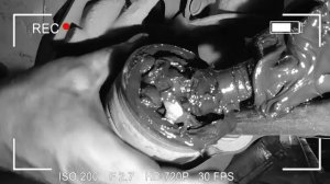 Замена пыльника ШРУСА на Skoda Octavia A5