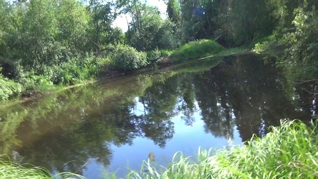 Жизнь в глуши. Поход на рыбалку. смотреть онлайн