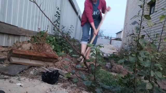 ПОСАДКА АЙВЫ смотреть онлайн