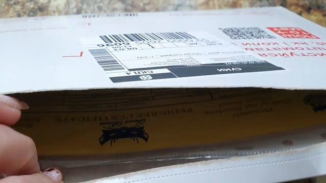 Отправка котёнка, какие нужны документы,Одежда для котика или собачки своими руками смотреть онлайн