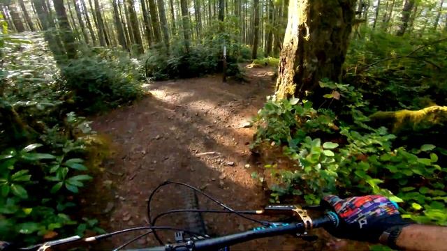 Gold Creek | Green Mountain MTB | Bremerton, WA смотреть онлайн
