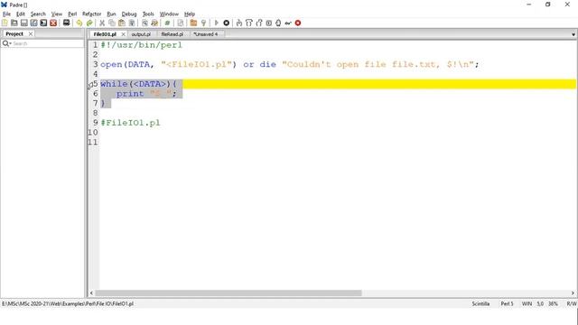Perl File IO смотреть онлайн