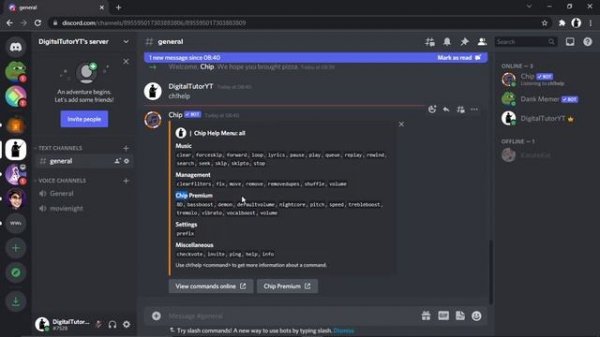 How To Use Chip Music Bot In Discord