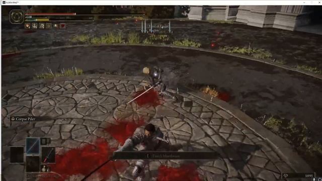 ELDEN RING - RUNNING INTO A RAIDEN COSPLAYER WITH MY JETSTREAM SAM смотреть онлайн