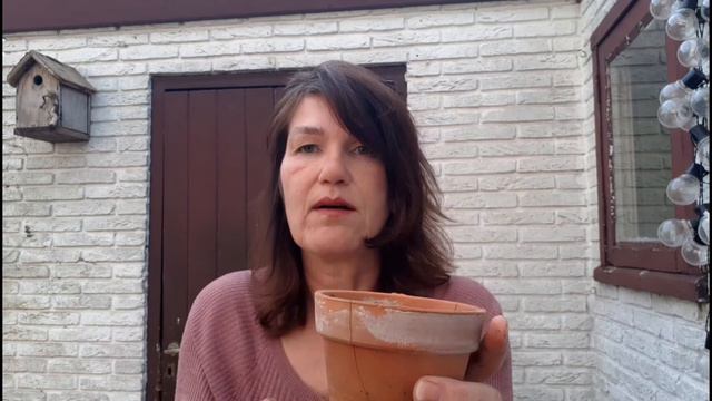 In 10 minuten een pannenkoekplant stekken | ThuisLeren смотреть онлайн