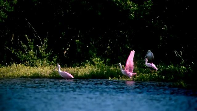 Amrit Kirtan - Mool Mantra