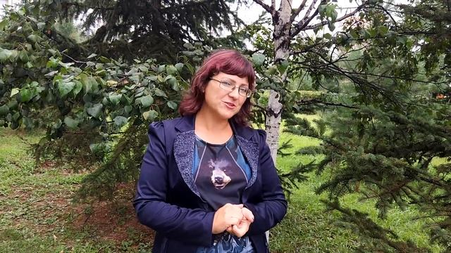 Екатерина Садохина школа ландшафта "Чудо сад" смотреть онлайн