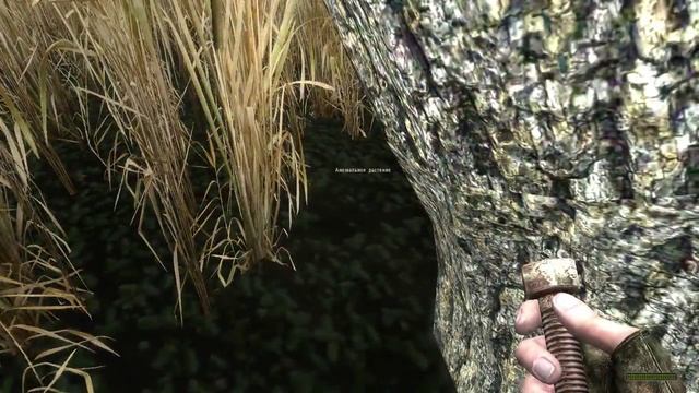 Растение для доктора свободы (Путь в Припять) смотреть онлайн