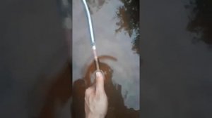 Герметичность гофрированная нержа давление 100бар