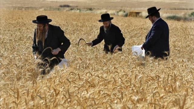 Жёлтый Дом - Жидомасонский заговор смотреть онлайн