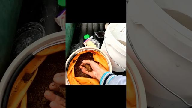 Лучше всяких гаджетов: подросток из Орла показал как отдыхает в свободное время. смотреть онлайн