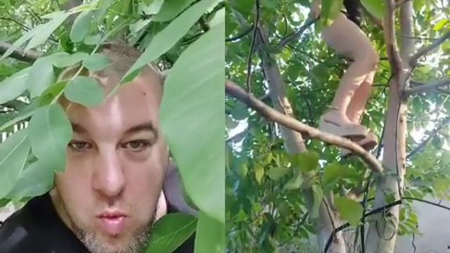 Покакал в кустах потом смотрю баба смотреть онлайн