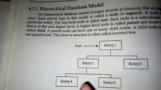 ||Hierarchical database model||record type is node and segment||top most node root|| смотреть онлайн