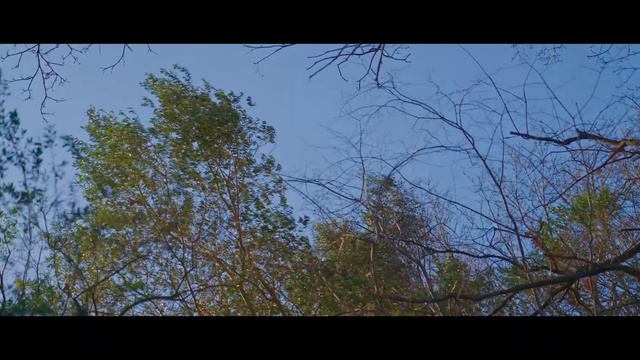 SONY FX6 -- "Wind" -- 4K DCI 2160P -- MIC SONY ECM-VG1 смотреть онлайн