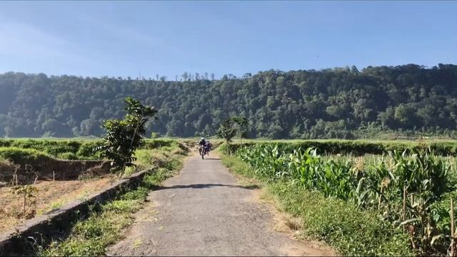 TRIP DI BALI BY HONDA XL смотреть онлайн