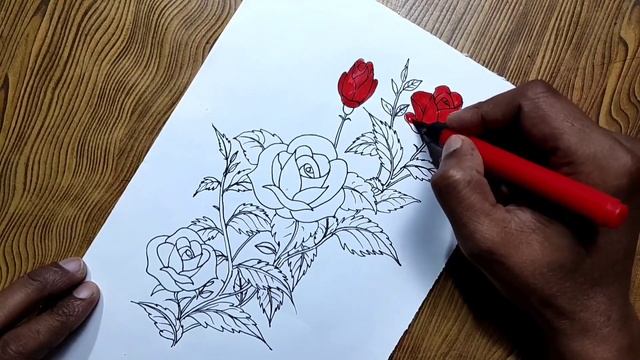How to draw rose flowers/Rose flowers drawing смотреть онлайн