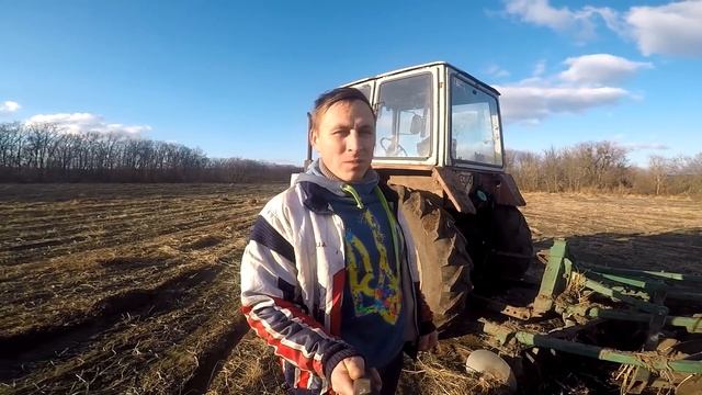 #Т40 дискуємо(лущимо) поля після гарбуза.Важко,мокро.Без ПВМ їхати не хоче. смотреть онлайн