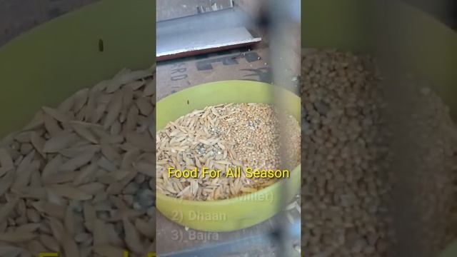 All Seasons Food For Java ? | Birds Info Telangana смотреть онлайн