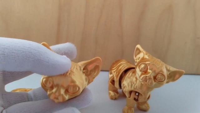 котики золотые. милые котики. подвижные коты. флекс котики. смотреть онлайн