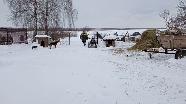 Снова снегопад, чищу снег мотоблоком с переделанной приставкой СМ-600 смотреть онлайн