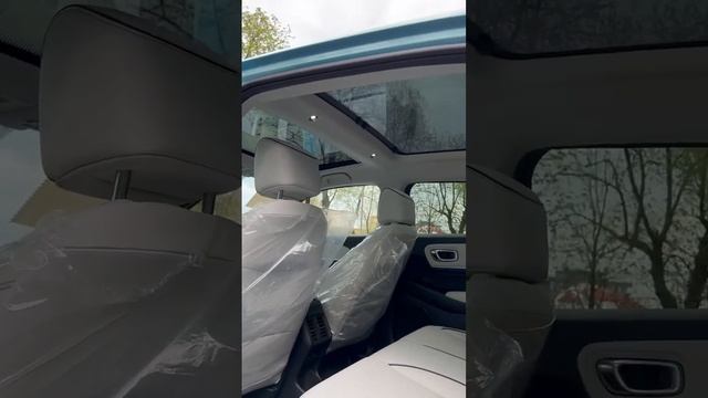 Honda  Ens1  70квч=550км  2022