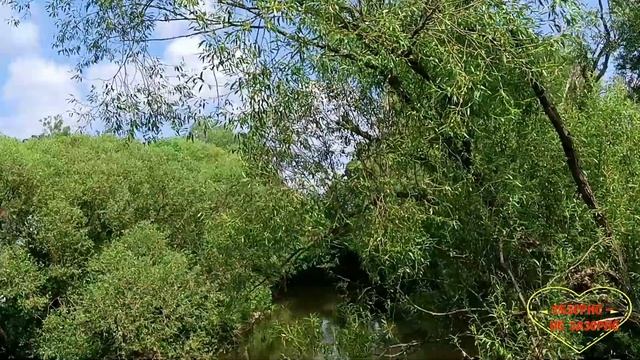 Многодетная семья Тарантиных//Дети//Обзор видео// смотреть онлайн