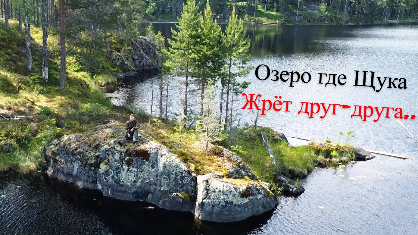 Рыбалка по Таёжному Озеру на Спиннинг| Среди Дикого Леса! UHD