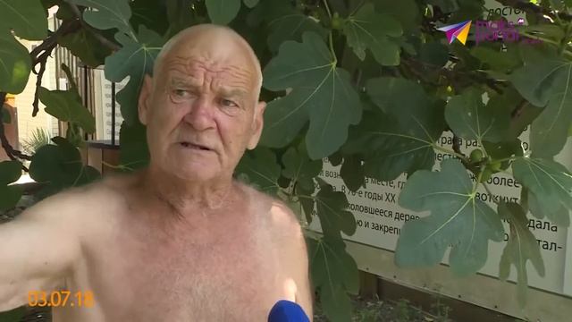 Сочинская писательница сочинила легенду о Тюльпановом дереве смотреть онлайн