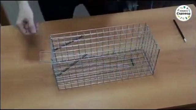 Крысоловка клетка металлическая смотреть онлайн