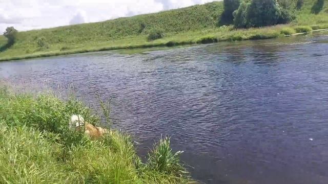 День перед отъездом на Юг смотреть онлайн
