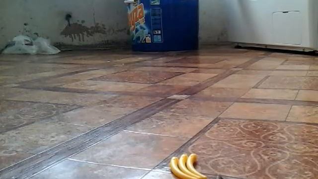 Как сделать гриль сюрикен и череп из лего смотреть онлайн