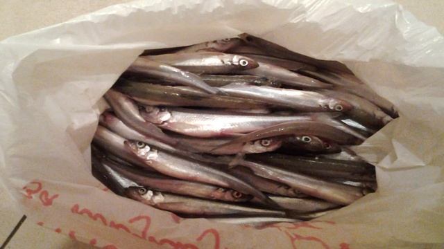 Ловля корюшки в Финском заливе, жареная корюшка смотреть онлайн
