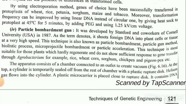 Gene Cloning in Eukaryotes and Transgenic Animals: Chap 6 (5/6) смотреть онлайн