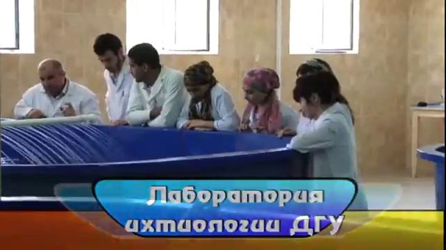 Аквакомплекс для осетровых рыб ДГУ. смотреть онлайн