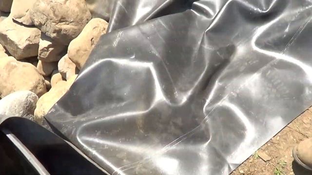 #240: Rocking a 5,000 Gallon Koi Pond with Tranquil Water Gardens - Cumberland, RI смотреть онлайн