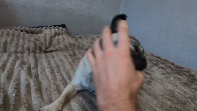 Pug play with my hand #pug #dog #puppy #мопс #tasha #mops смотреть онлайн