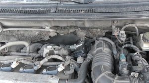 Если Тойота заводится и глохнет